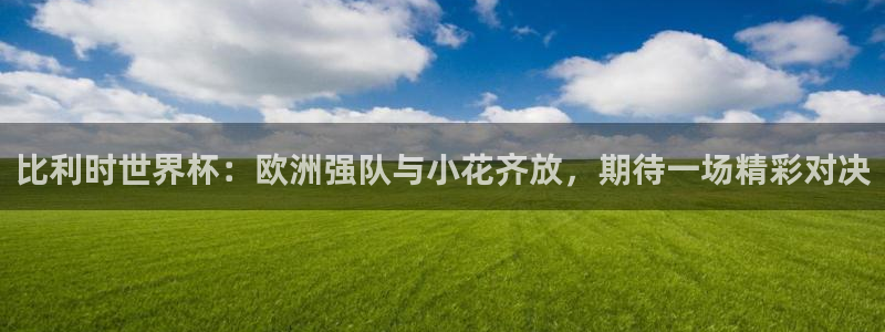世预赛免费直播入口:比利时世界杯:欧洲强队与小花齐放,期待一场精彩对决