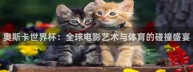 欧洲世界杯预选赛赛程:奥斯卡世界杯:全球电影艺术与体育的碰撞盛宴