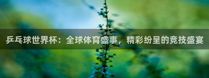 2026世界杯亚洲区预选赛赛程:乒乓球世界杯:全球体育盛事,精彩纷呈的竞技盛宴