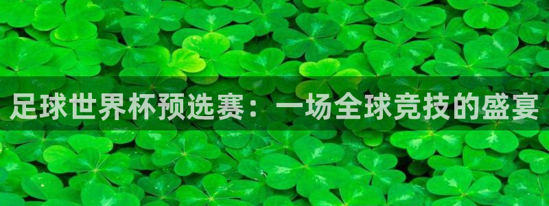 世界杯葡萄牙赛程:足球世界杯预选赛:一场全球竞技的盛宴