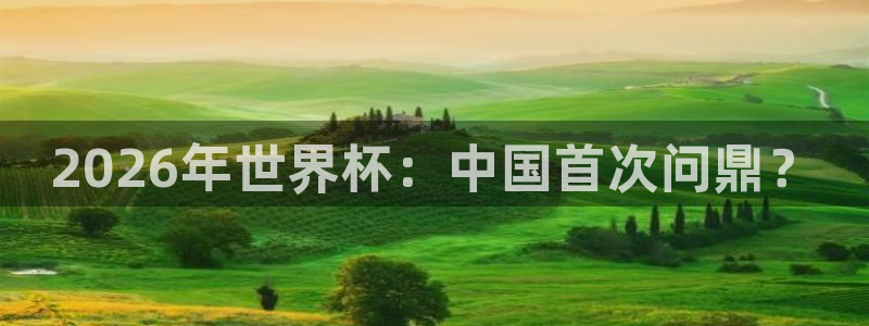 美国世界杯:2026年世界杯:中国首次问鼎?