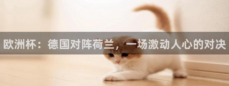 2026葡萄牙杯赛程表:欧洲杯:德国对阵荷兰,一场激动人心的对决