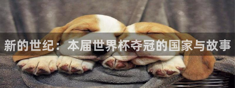 世界杯直播平台:新的世纪:本届世界杯夺冠的国家与故事