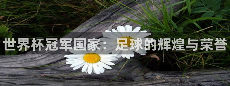 世界杯预选赛赛程表:世界杯冠军国家:足球的辉煌与荣誉