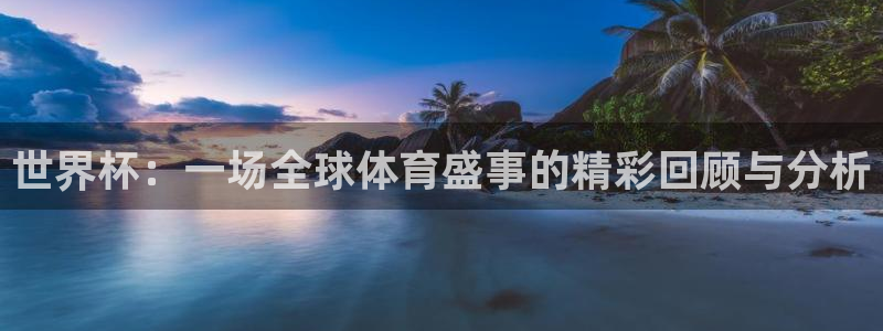 2026足球世界杯:世界杯:一场全球体育盛事的精彩回顾与分析