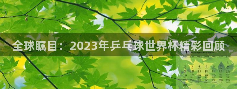 亚洲杯比赛直播:全球瞩目:2023年乒乓球世界杯精彩回顾