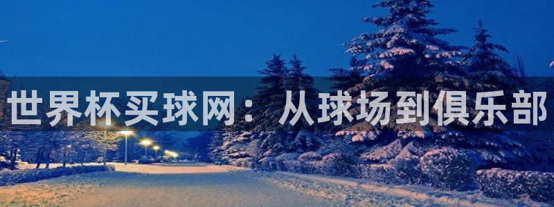 世界杯足球比赛:世界杯买球网:从球场到俱乐部